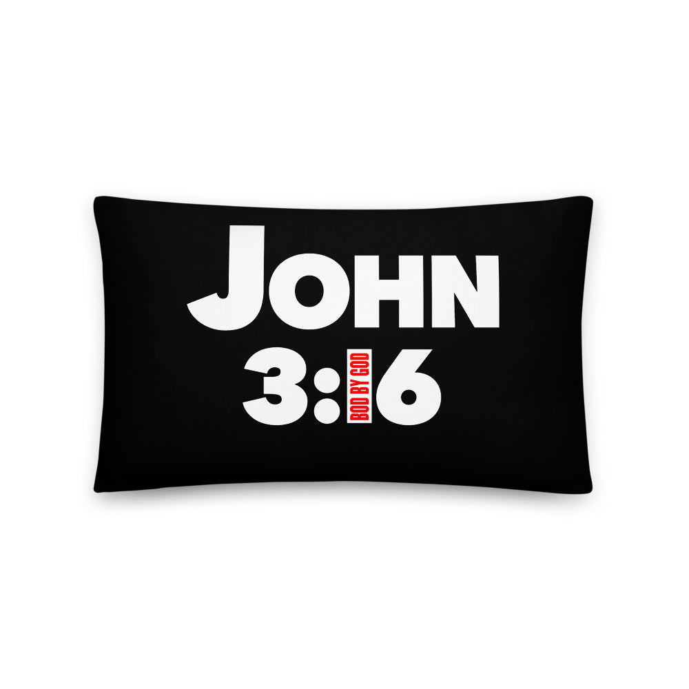 BOD BY GOD John 3 16 My Pillow