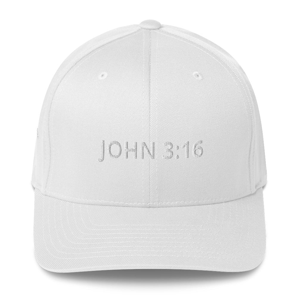John 3 16