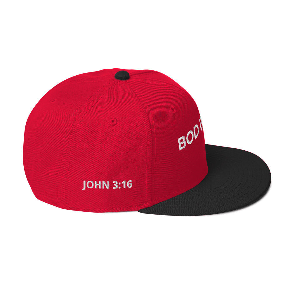 John 3 16