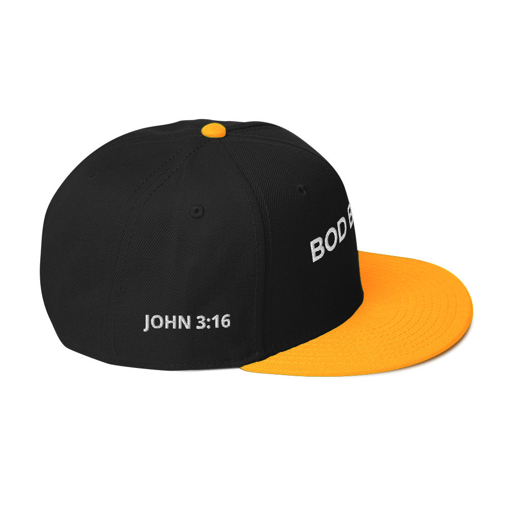 John 3 16